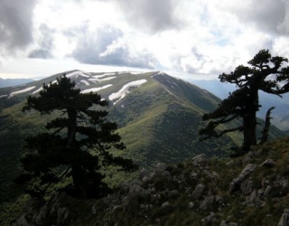 Al Pollino Camminando
